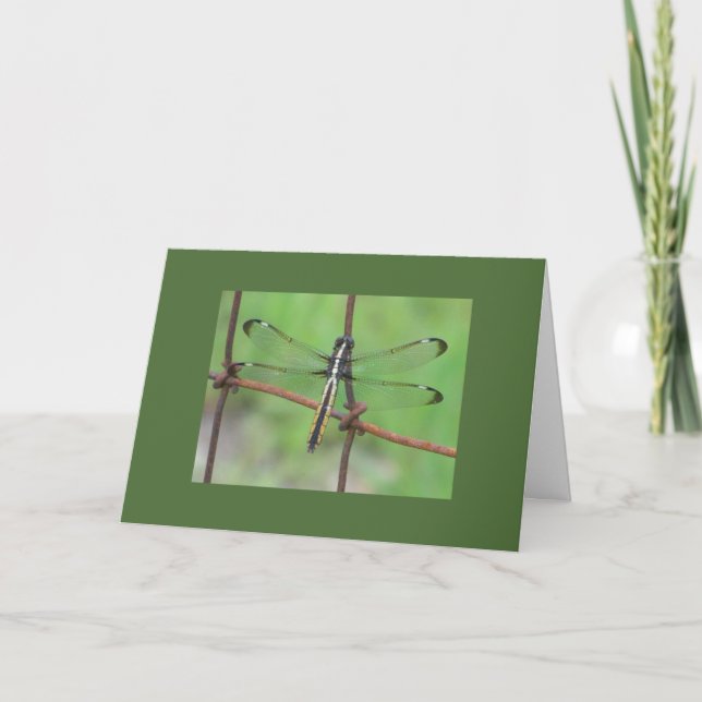 Carte d'anniversaire de la libellule (Devant)