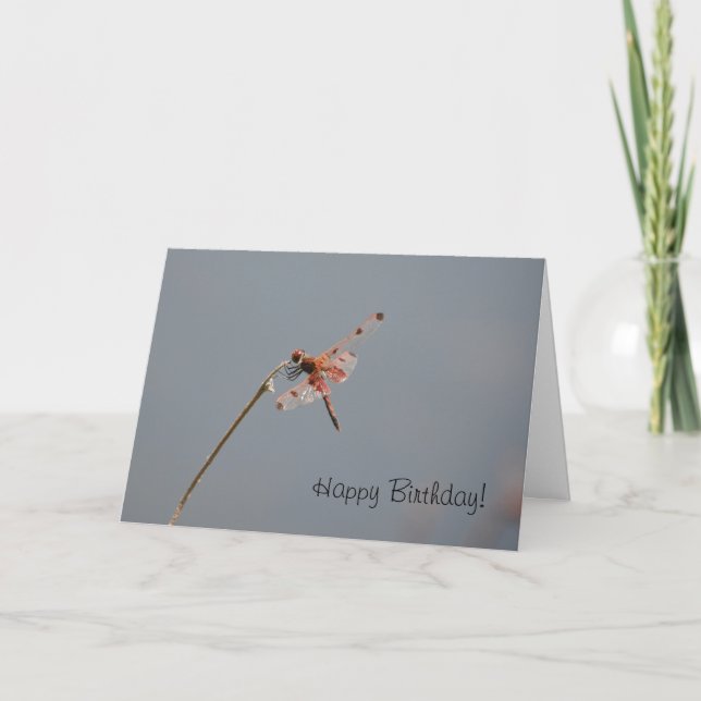Carte d'anniversaire de la libellule (Devant)