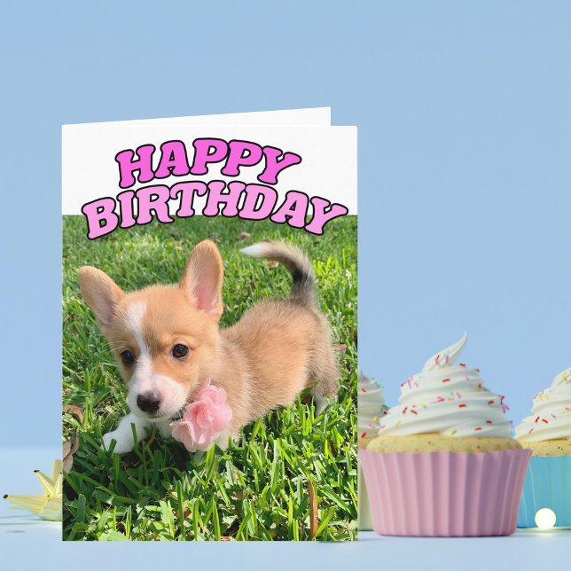 Carte d'anniversaire de la marionnette de Corgi (Créateur téléchargé)