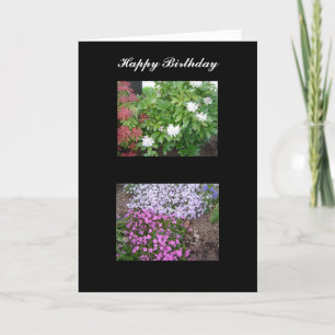 Carte d'anniversaire de la nature