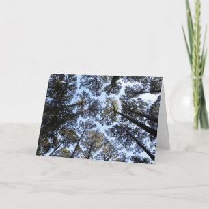 Carte d'anniversaire de la perspective des arbres 