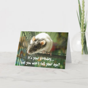 Carte d'anniversaire de la photo de rat drôle