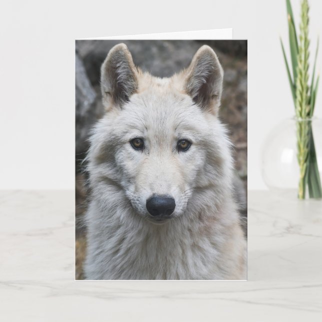 CARTE D'ANNIVERSAIRE DE LA PHOTOGRAPHIE BLANCHE (Devant)