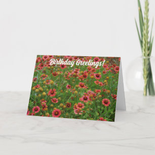 Carte d'anniversaire de la prairie de fleur de feu