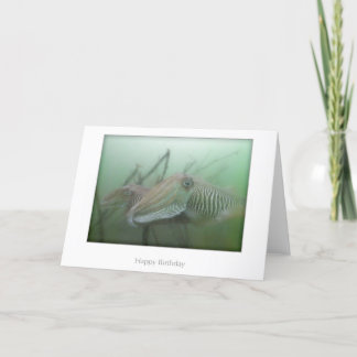 Carte d'anniversaire de la seiche