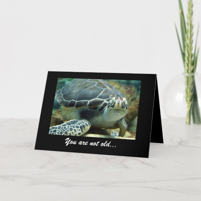 Carte d'anniversaire de la tortue (Devant)