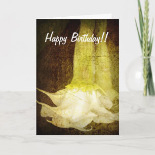 Carte d'anniversaire de la trompette d'ange