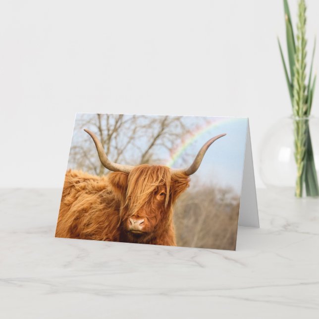 Carte d'anniversaire de la vache Highland (Devant)