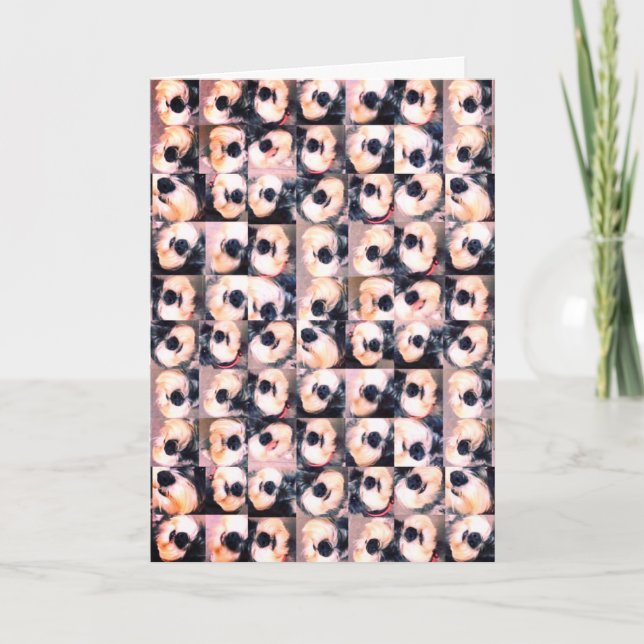 Carte d'anniversaire de l'Amoureux des chiens (Devant)