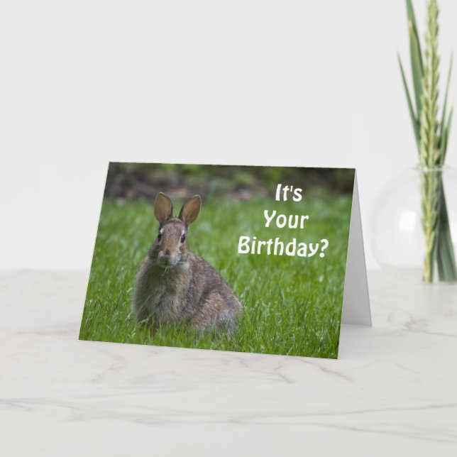Carte d'anniversaire de lapin (Devant)