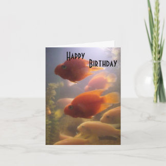Carte d'anniversaire de l'aquarium