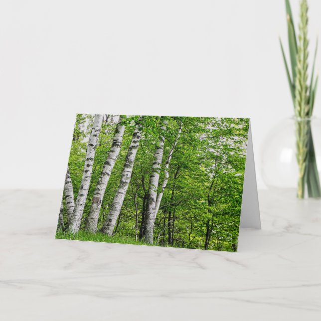 Carte d'anniversaire de l'arbre à bouleau (Devant)