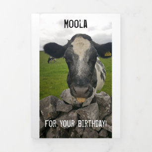 Carte d'anniversaire de l'argent - Flap se plie au