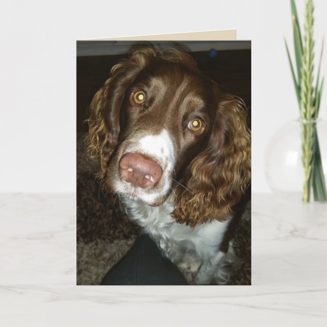 Carte d'anniversaire de l'espagnol bringer anglais (Devant)