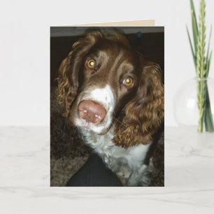 Carte d'anniversaire de l'espagnol bringer anglais