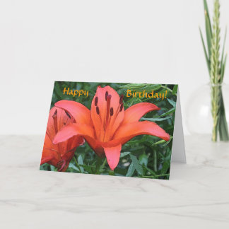 Carte d'anniversaire de lièvre orange