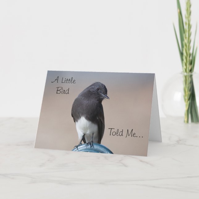 Carte d'anniversaire de Little Bird (Devant)