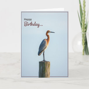 Carte d'anniversaire de l'oiseau élégant