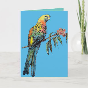 Carte d'anniversaire de l'oiseau rouge Rosella Par