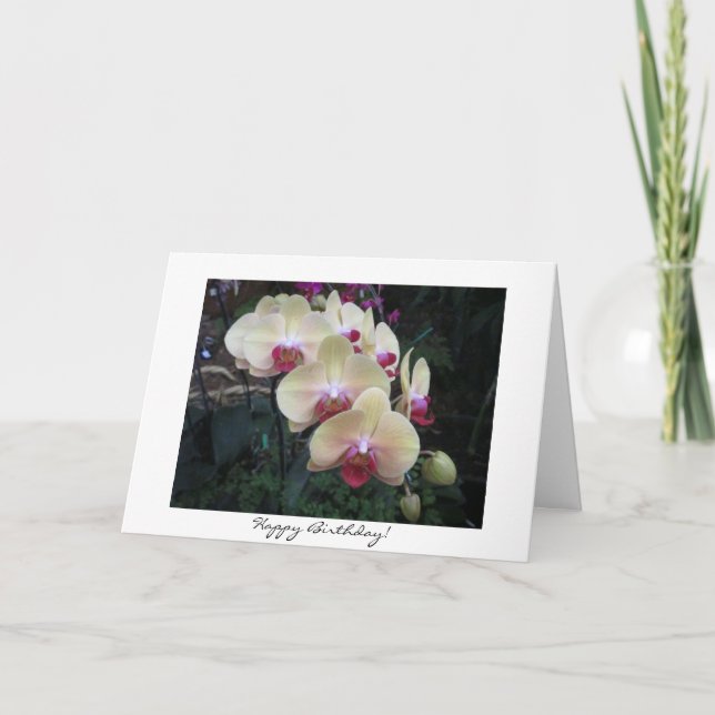 Carte d'anniversaire de l'orchidée rose (Devant)