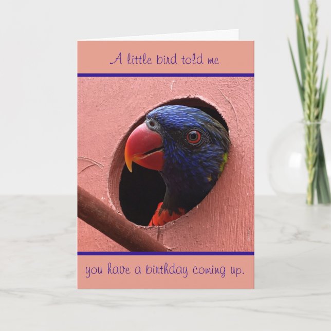 carte d'anniversaire de lorikeet (Devant)