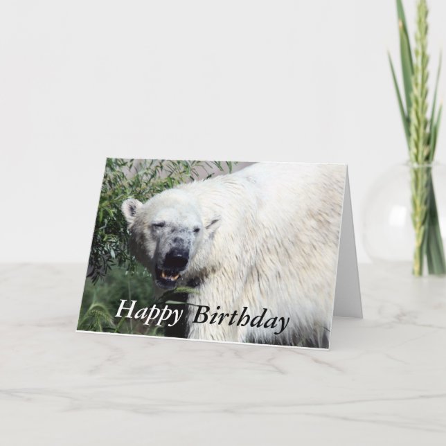 Carte d'anniversaire de l'ours polaire (Devant)