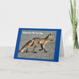 Carte d'anniversaire de M. Wild Fox