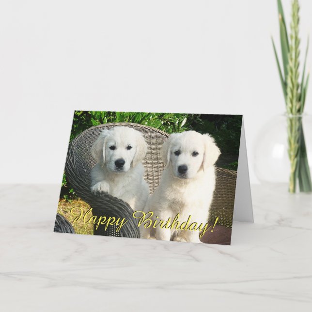 Carte d'anniversaire de marionnettes Golden retrie (Devant)