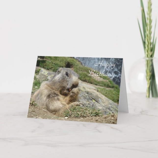 Carte d'anniversaire de Marmot (Devant)