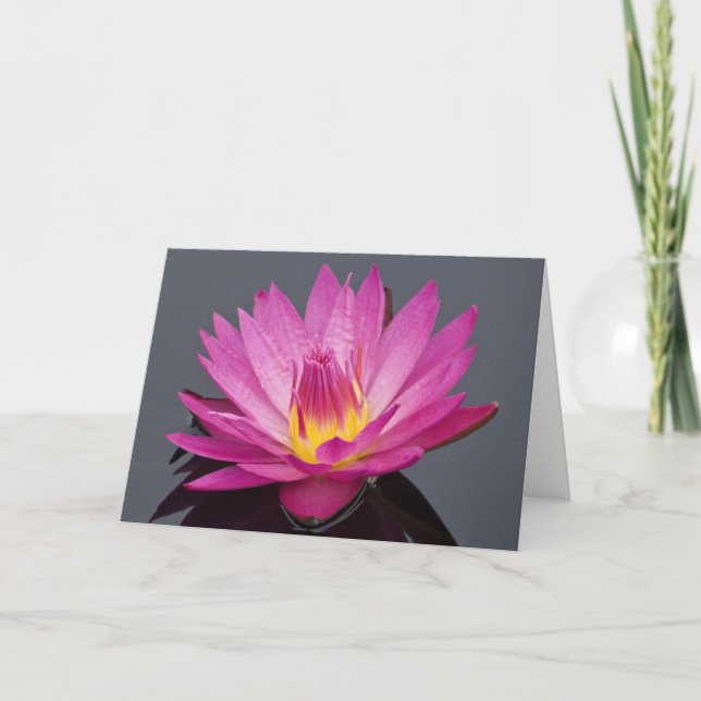 Carte d'anniversaire de nénuphar (Devant)