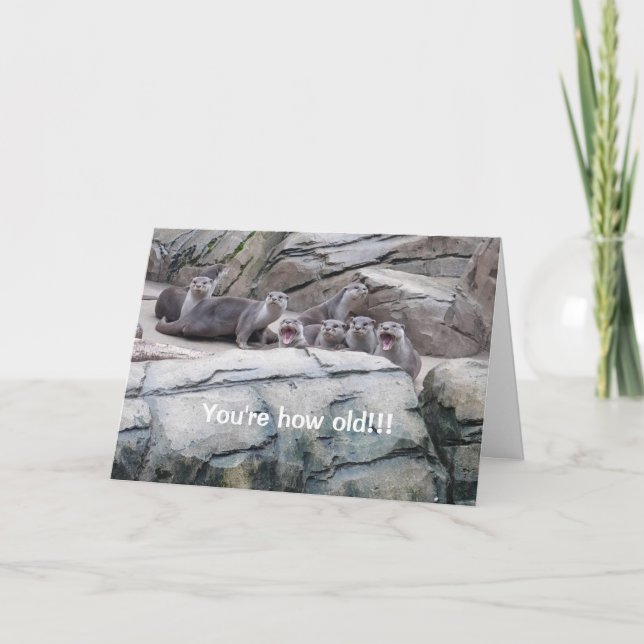 Carte d'anniversaire de Otter (Devant)