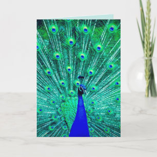 CARTE D'ANNIVERSAIRE DE PEACOCK FUNNY