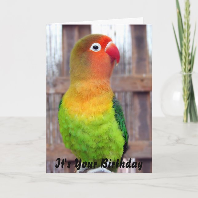 Carte d'anniversaire de perruche (Devant)