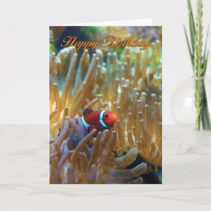 Carte d'anniversaire de poisson clown - Carte phot