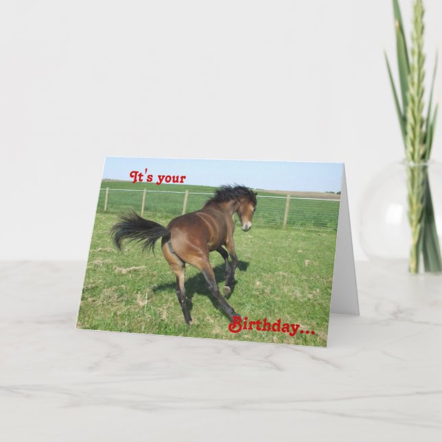 Carte d'anniversaire de poney (Devant)