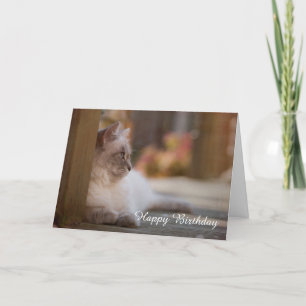 Carte d'anniversaire de Ragdoll