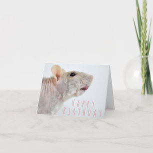 Carte d'anniversaire de Rat Roulé