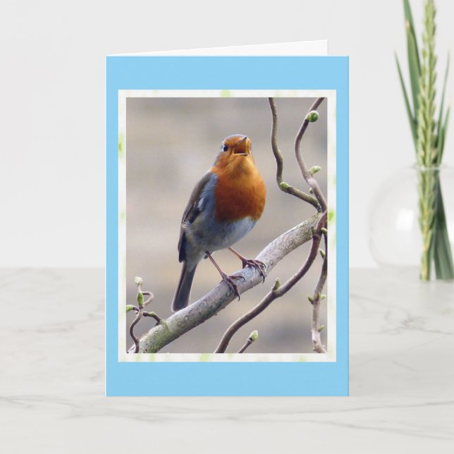 Carte d'anniversaire de Robin (Devant)