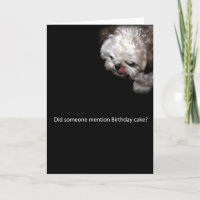 Carte d'anniversaire de Shih-Tzu