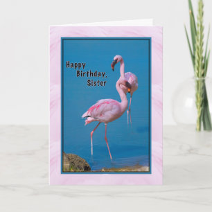 Carte d'anniversaire de soeur avec Flamant rose ro