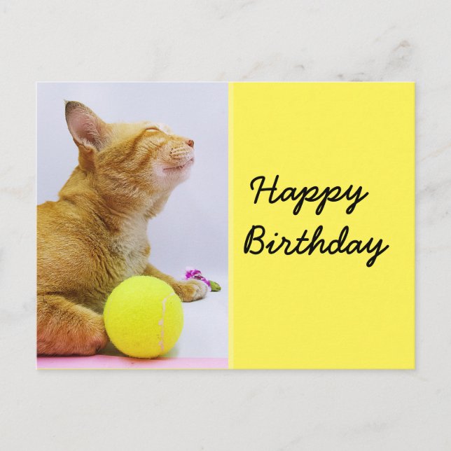 Carte d'anniversaire de tennis avec gingembre chat (Devant)
