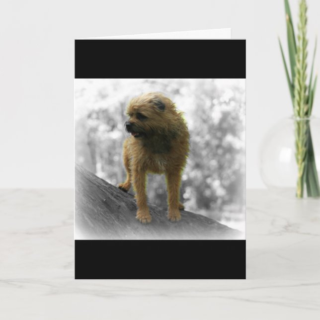 Carte d'anniversaire de Terrier de frontière (Devant)