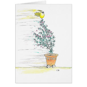 Carte d'anniversaire de "thym"