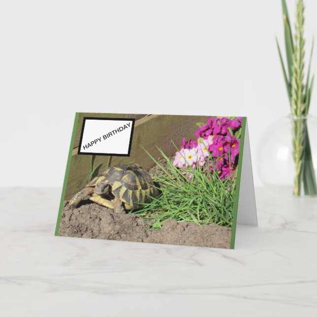 Carte d'anniversaire de Tortoise (Devant)