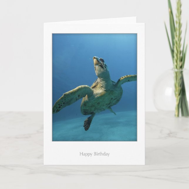 Carte d'anniversaire de tortue (Devant)