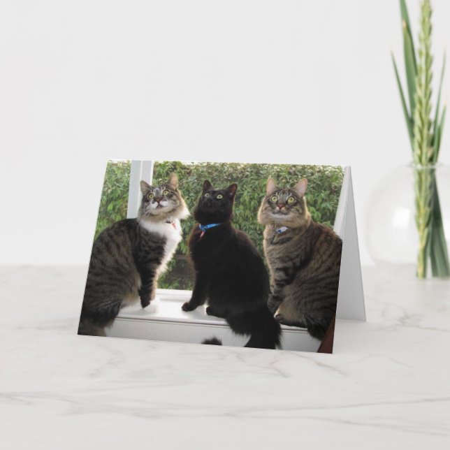 Carte d'anniversaire de trois amis "Time For Cake" (Devant)