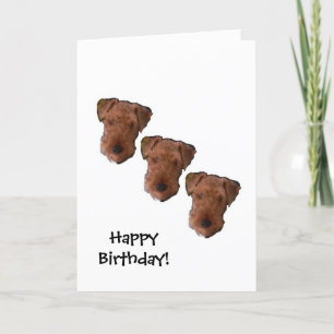 Carte d'anniversaire de trois chiens