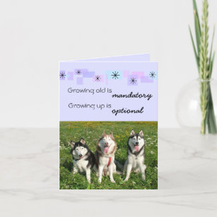 Invitations Faire Part Cartes Anniversaire Chien Traineau Siberien Zazzle Ca