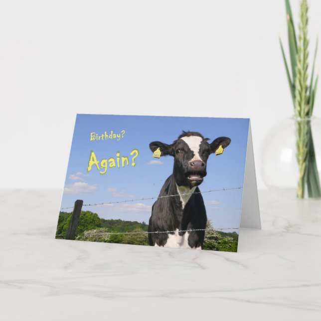 Carte d'anniversaire de vache (Devant)