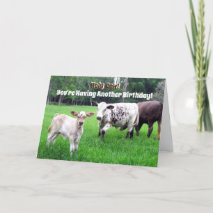 Carte d'anniversaire de vache - série agricole - c